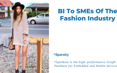 Bringing BI to SMEs of the fashion industry